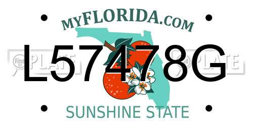 L57478G Florida License Plate