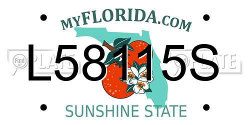 L58115S Florida License Plate