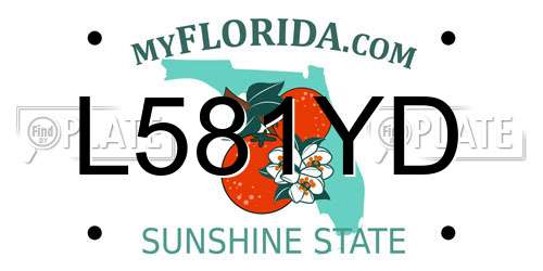 L581YD Florida License Plate