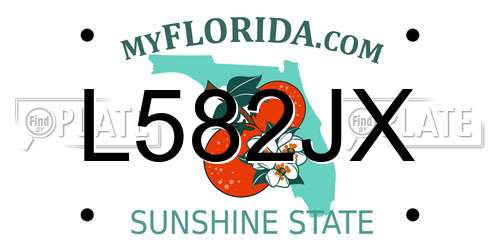 L582JX Florida License Plate