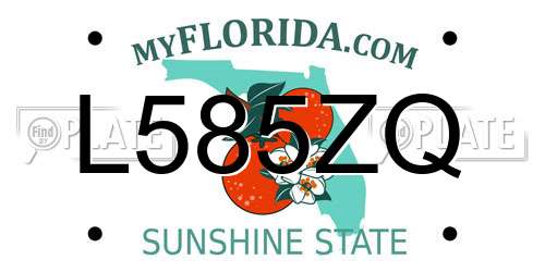 L585ZQ Florida License Plate
