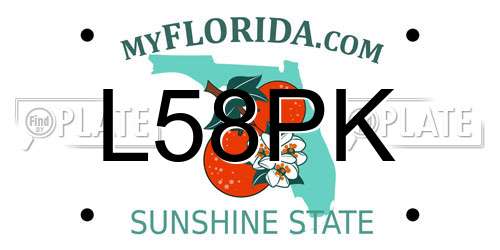 L58PK Florida License Plate