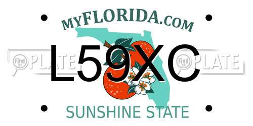L59XC Florida License Plate