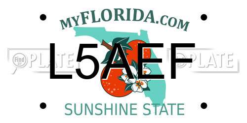 L5AEF Florida License Plate
