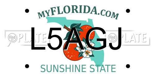 L5AGJ Florida License Plate