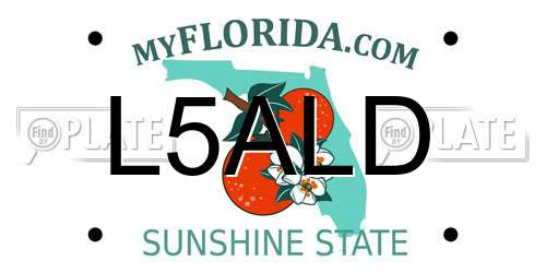L5ALD Florida License Plate