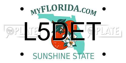 L5DET Florida License Plate