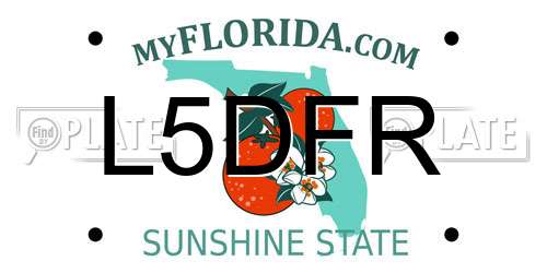 L5DFR Florida License Plate