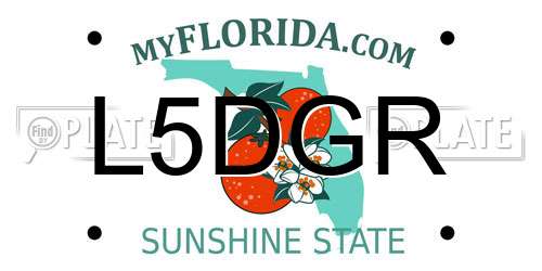 L5DGR Florida License Plate