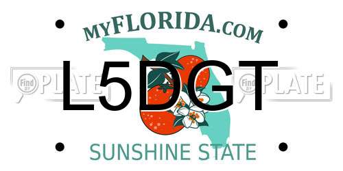 L5DGT Florida License Plate