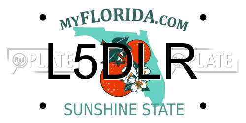 L5DLR Florida License Plate