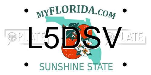 L5DSV Florida License Plate