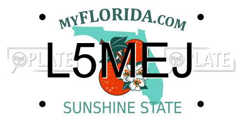 L5MEJ Florida License Plate