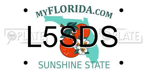 L5SDS Florida License Plate
