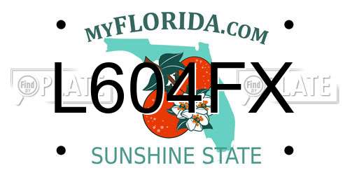 L604FX Florida License Plate
