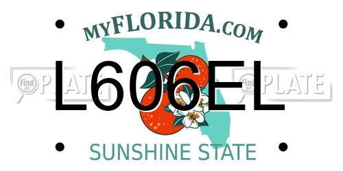 L606EL Florida License Plate