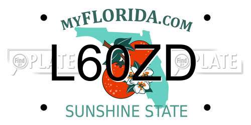 L60ZD Florida License Plate