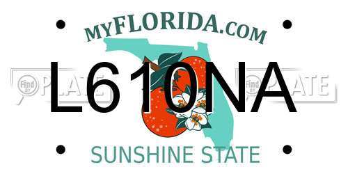 L610NA Florida License Plate