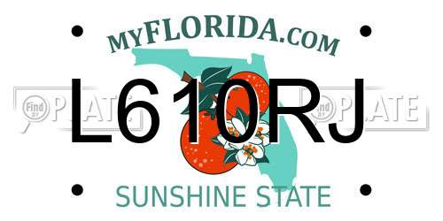 L610RJ Florida License Plate
