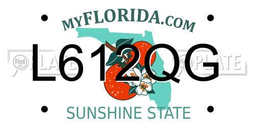 L612QG Florida License Plate