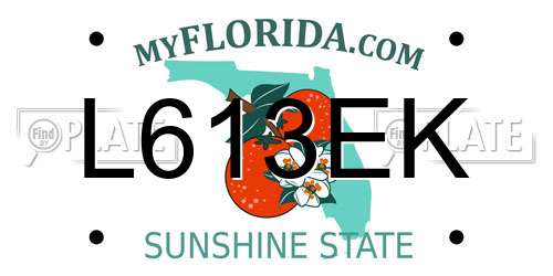 L613EK Florida License Plate