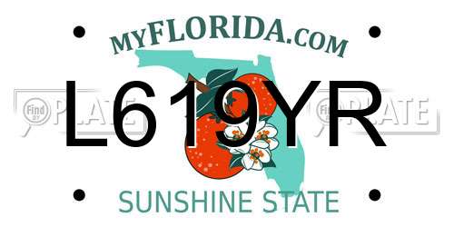 L619YR Florida License Plate