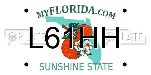 L61HH Florida License Plate
