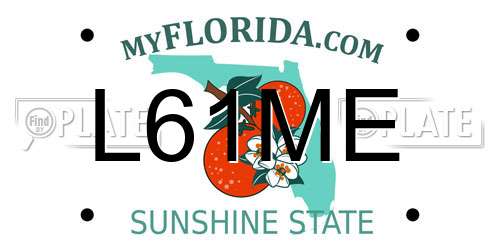 L61ME Florida License Plate