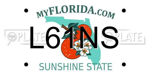L61NS Florida License Plate