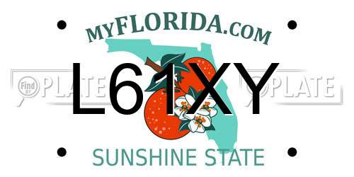 L61XY Florida License Plate
