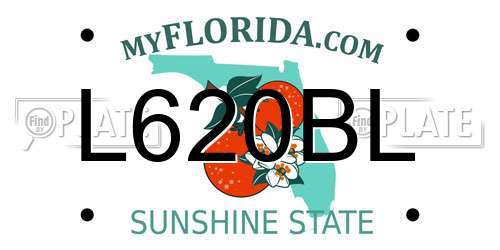 L620BL Florida License Plate