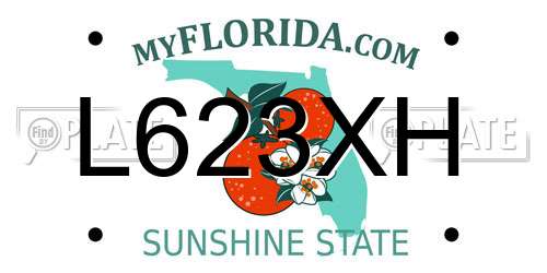 L623XH Florida License Plate