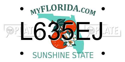 L635EJ Florida License Plate