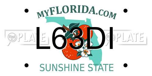 L63DI Florida License Plate