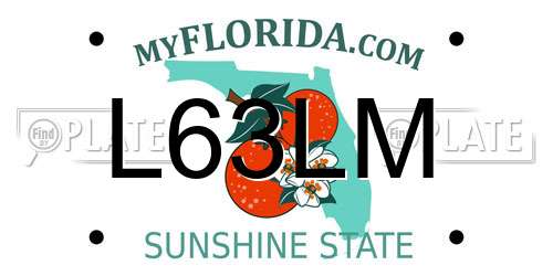 L63LM Florida License Plate