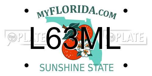 L63ML Florida License Plate