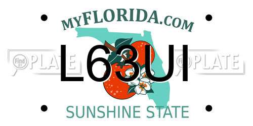 L63UI Florida License Plate