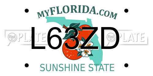 L63ZD Florida License Plate