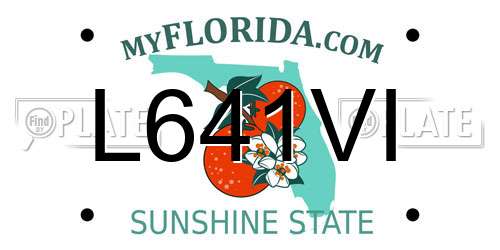 L641VI Florida License Plate