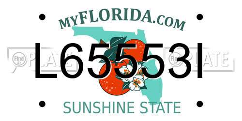 L65553I Florida License Plate