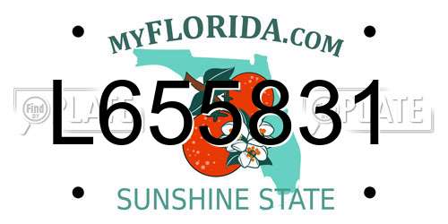 L655831 Florida License Plate