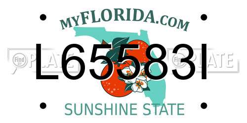 L65583I Florida License Plate
