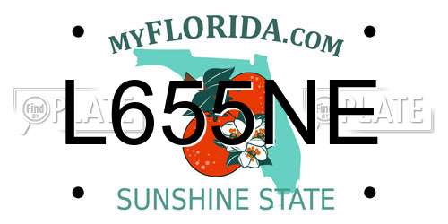 L655NE Florida License Plate