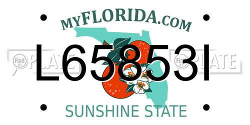L65853I Florida License Plate