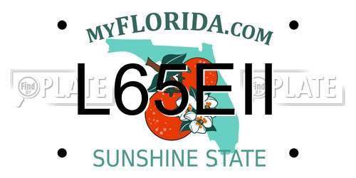 L65EII Florida License Plate