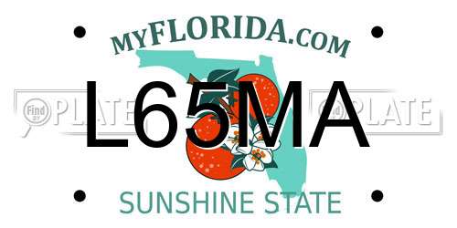 L65MA Florida License Plate