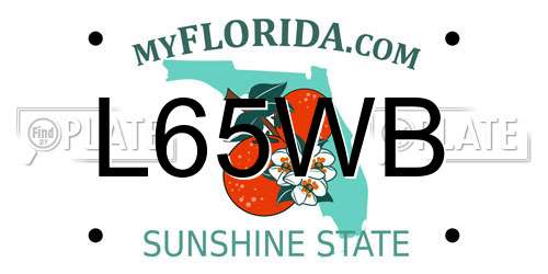 L65WB Florida License Plate