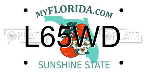 L65WD Florida License Plate