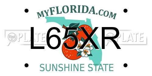 L65XR Florida License Plate