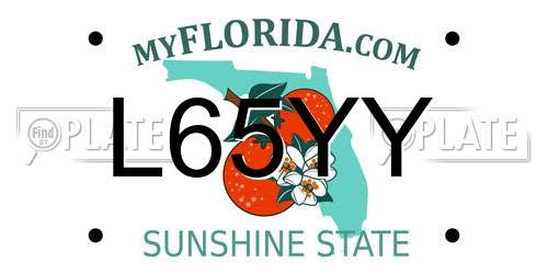 L65YY Florida License Plate